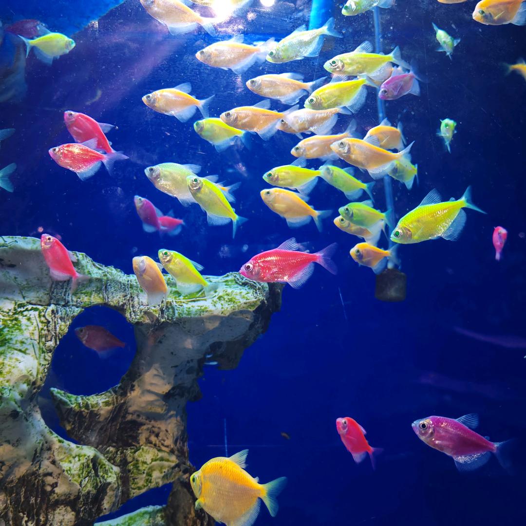 💋小妞&站那别动&💋