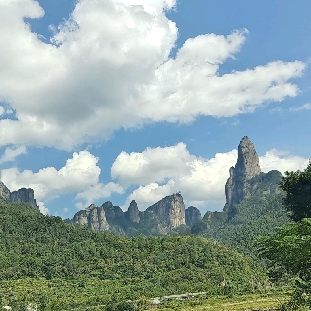雪怕太阳，草怕霜