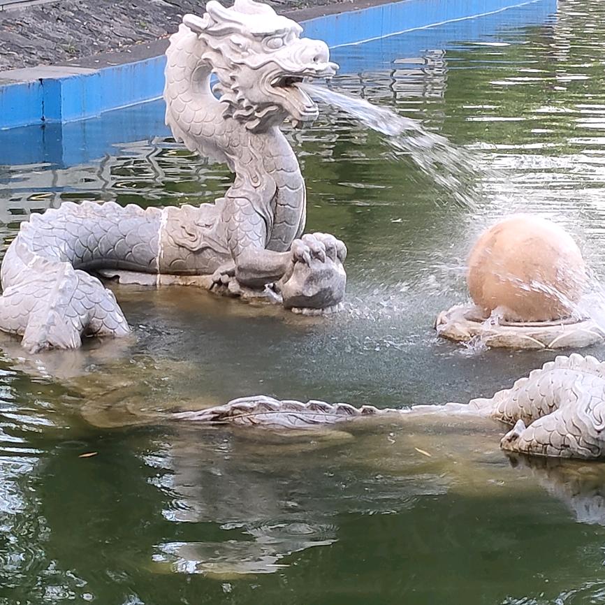 平鲁强哥