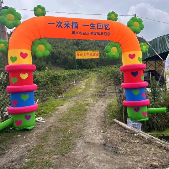 画饼哥