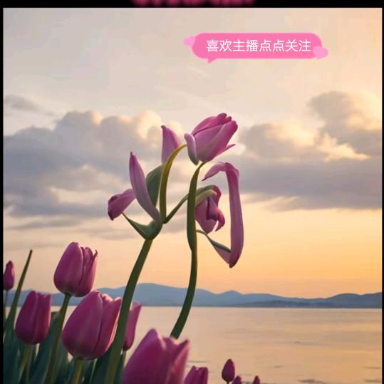 娟姐