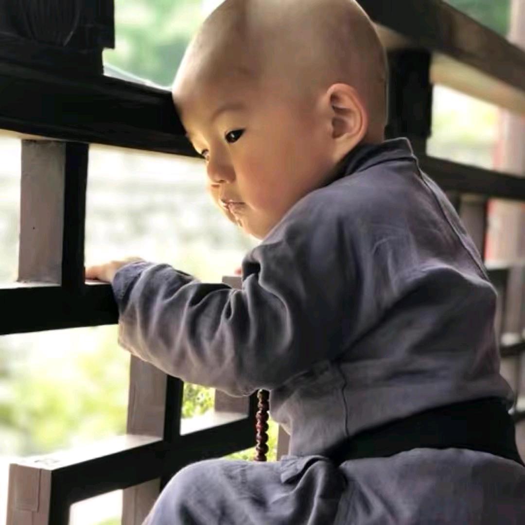 九华义工（菩然）