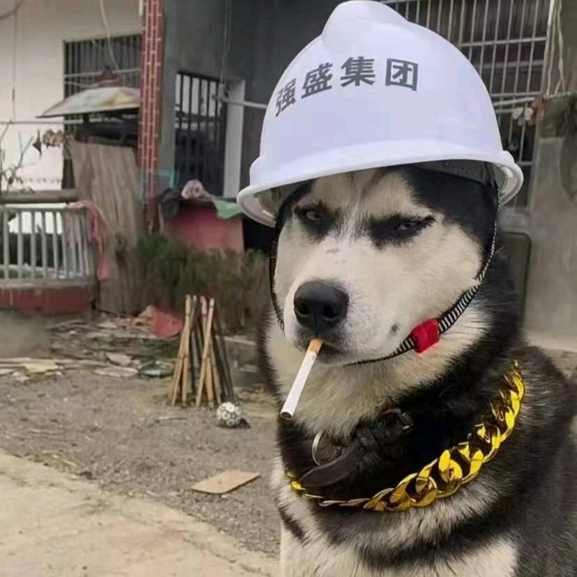 回头