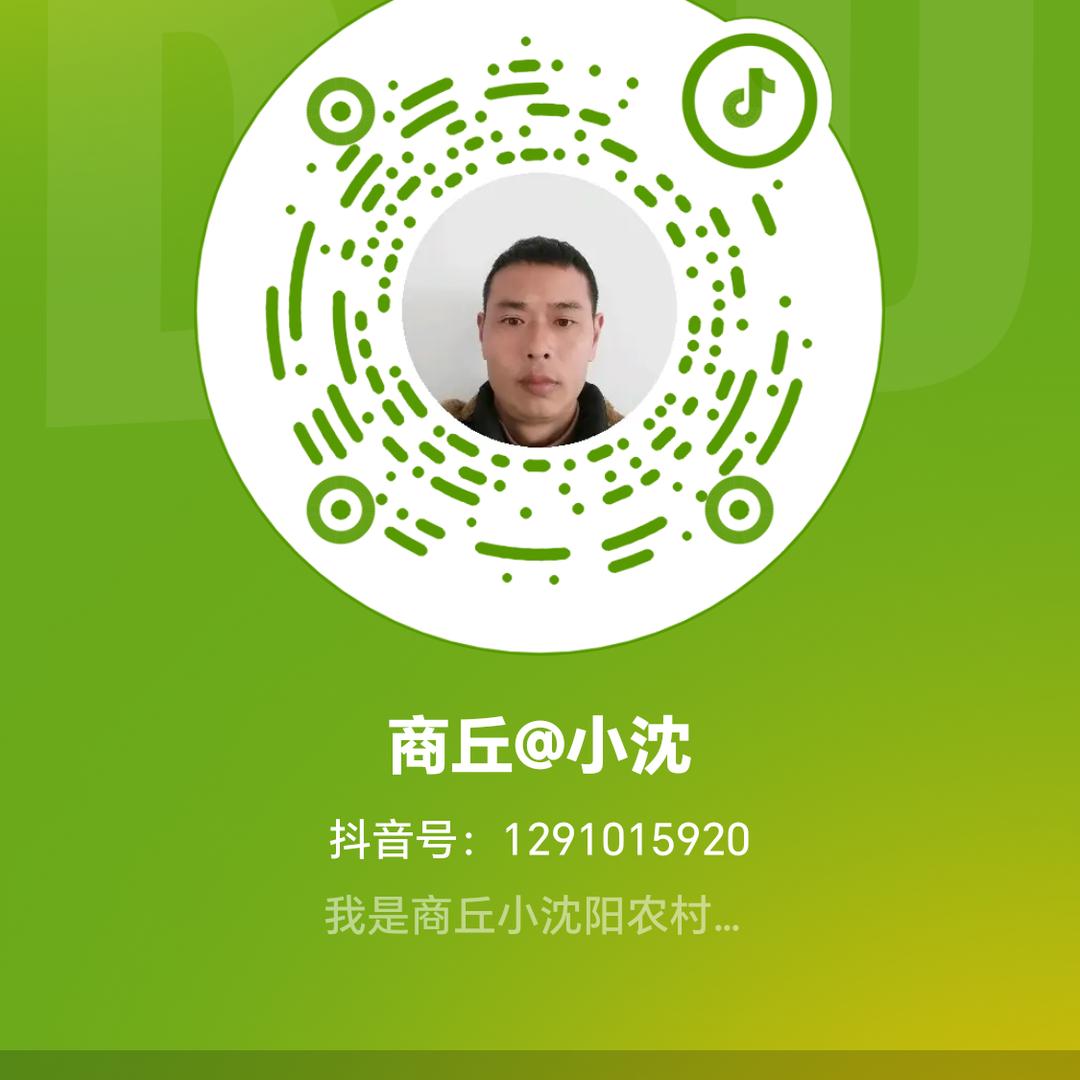 商丘@小沈