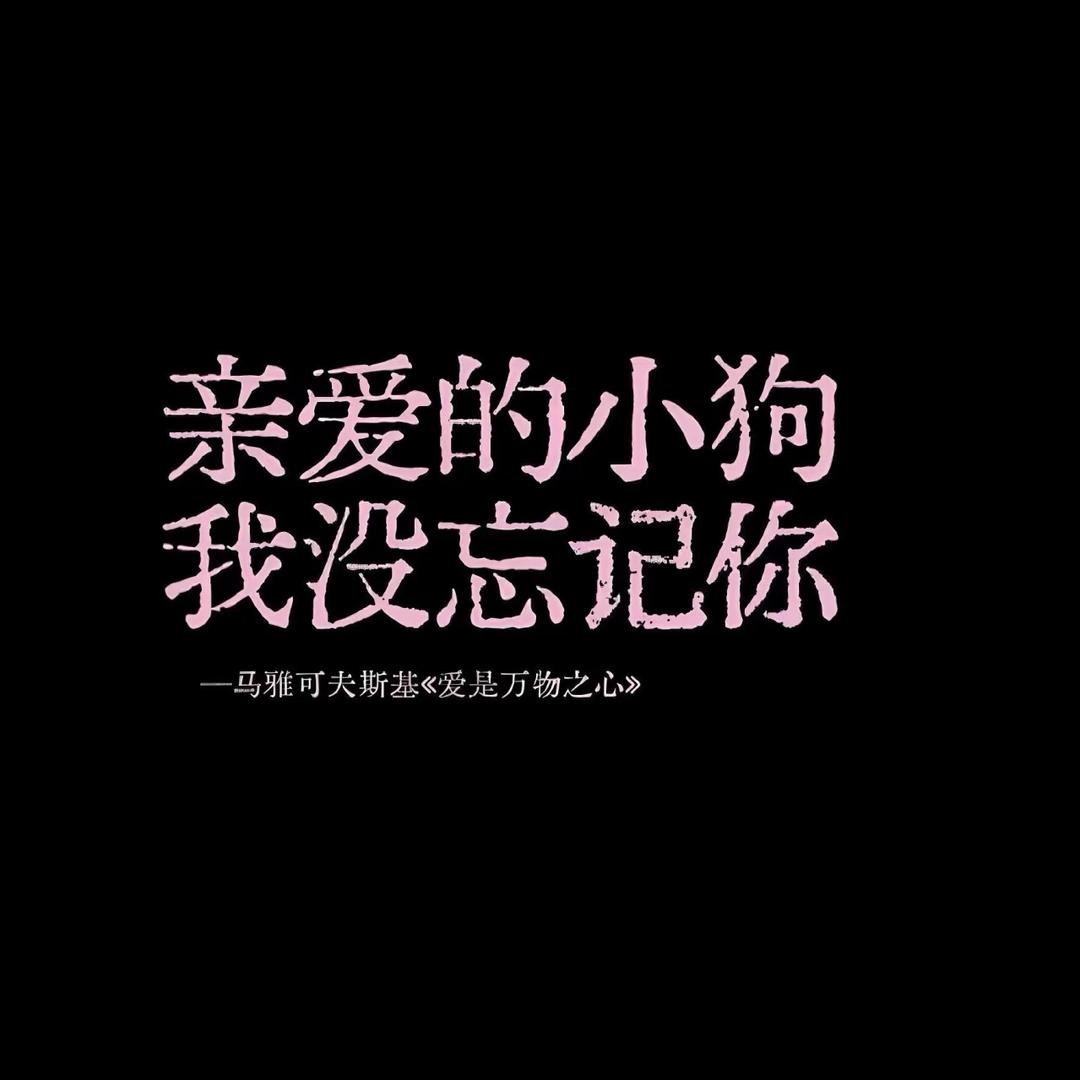 杨亦杨