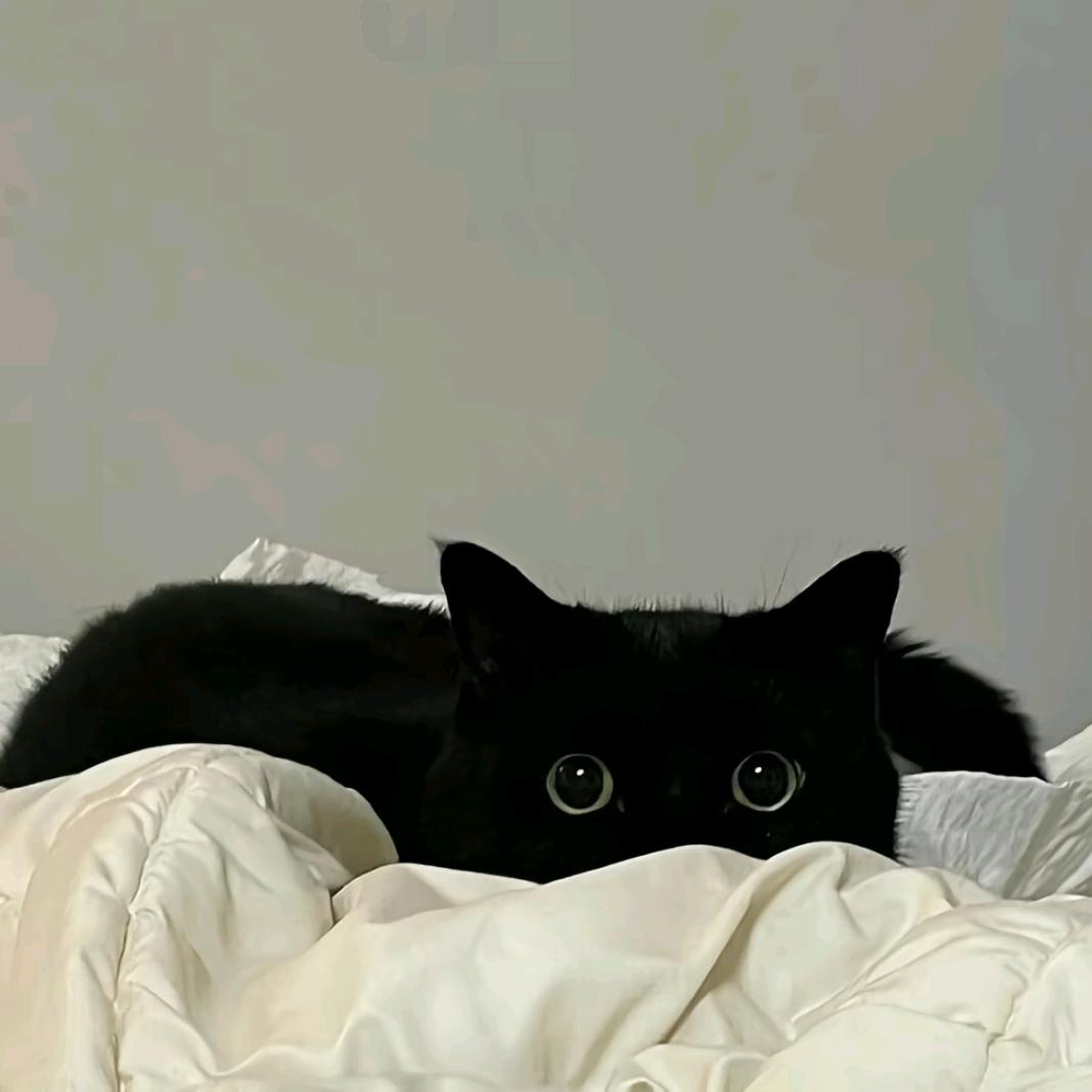 su.