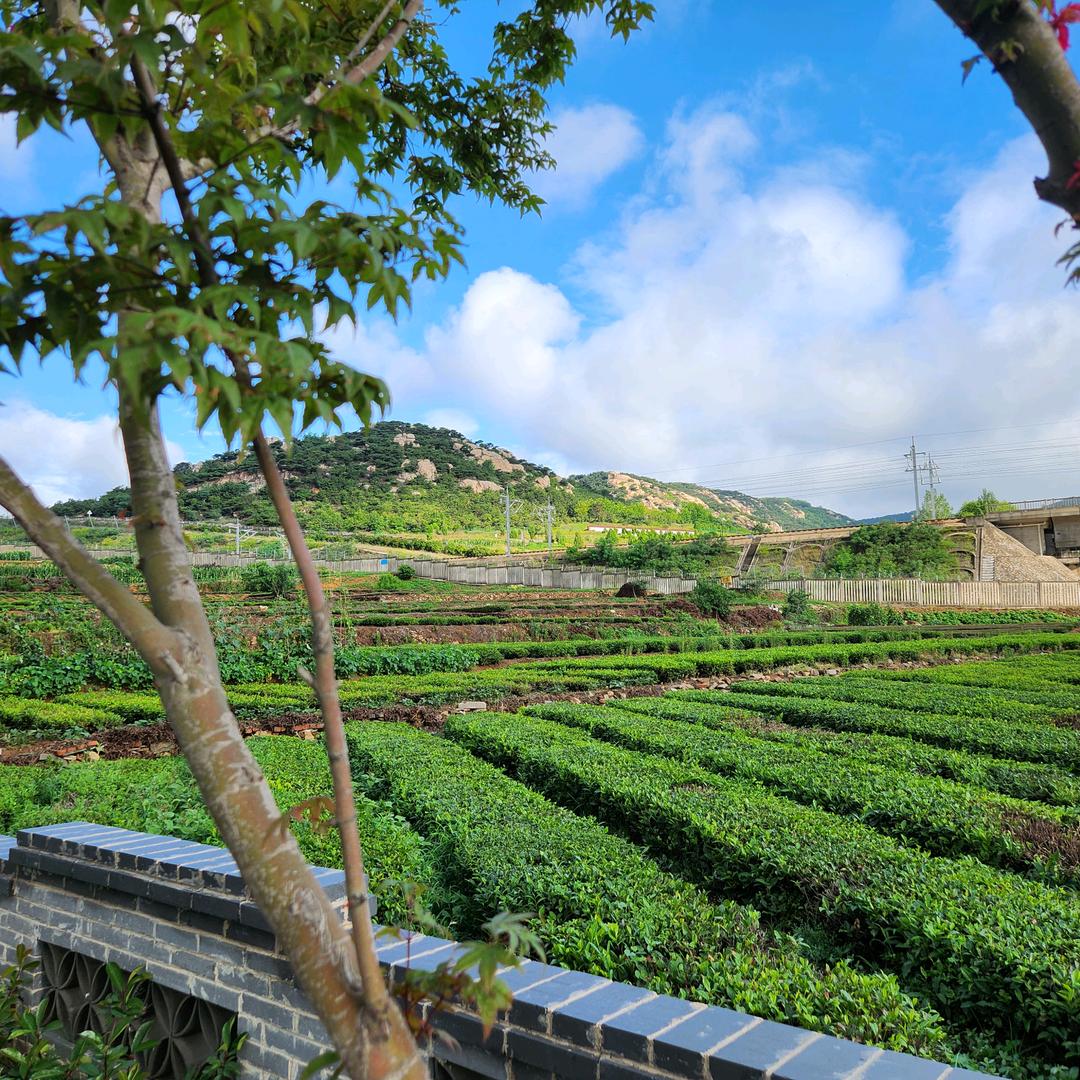 山山而川✰