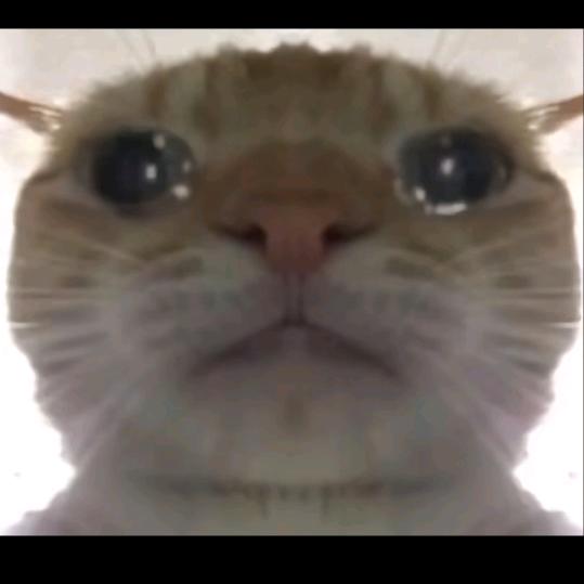 雯子妈妈