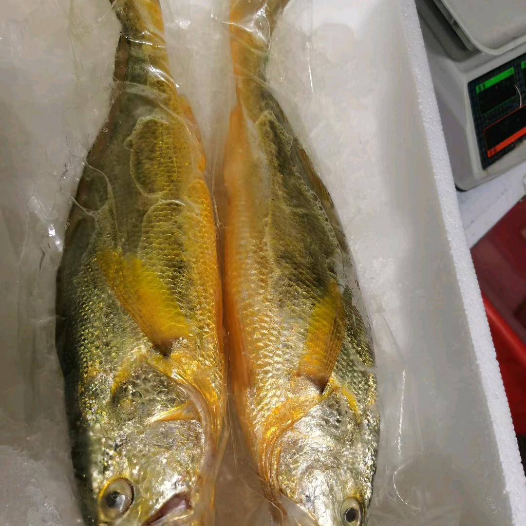 渔夫海鲜家人