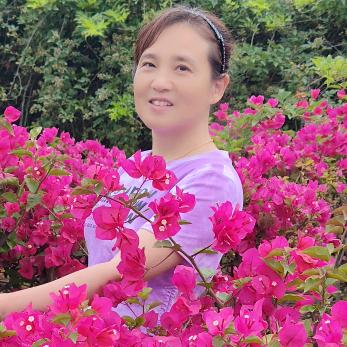 人生如梦