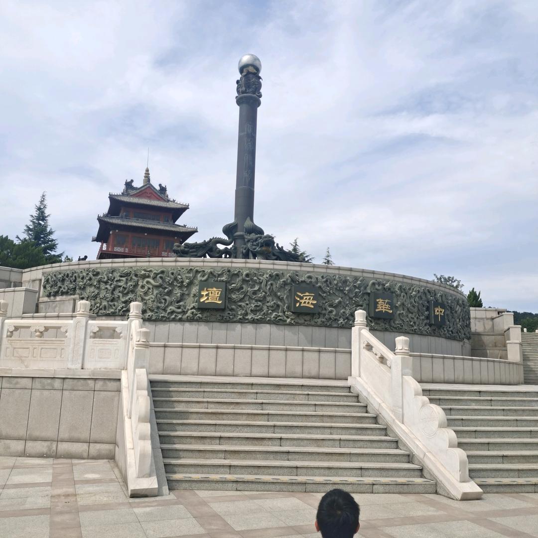 Media李