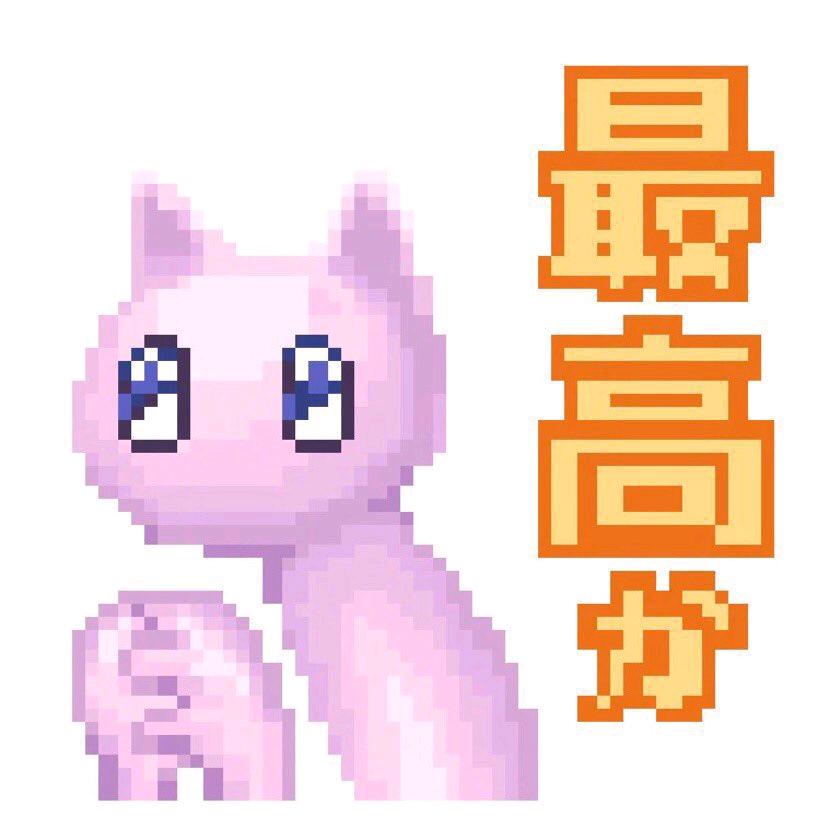 猫咪吃鱼 💯