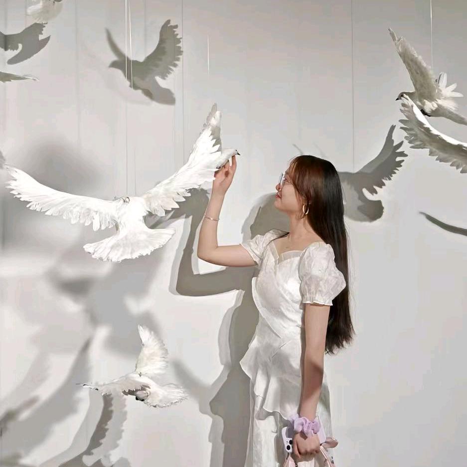 不想吃香菜