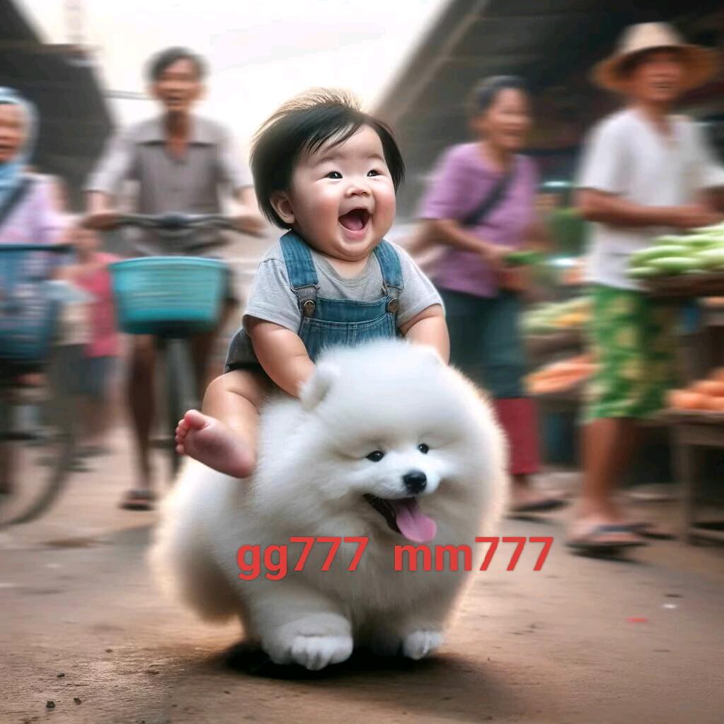 杰克萌宠