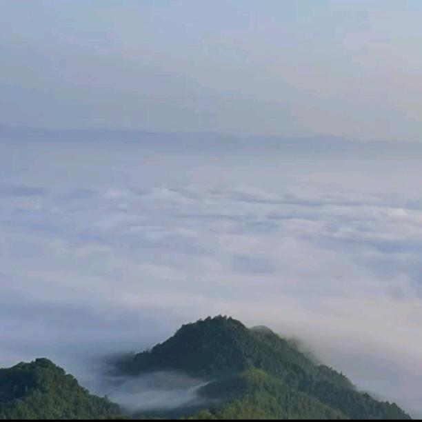 六月的雨