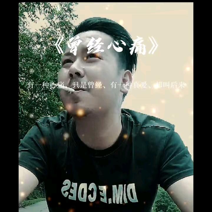 映