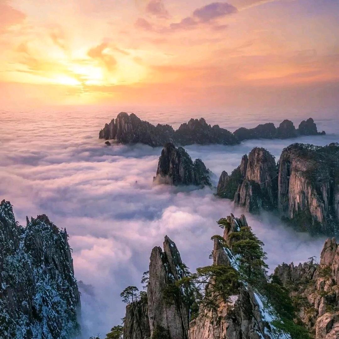 松竹