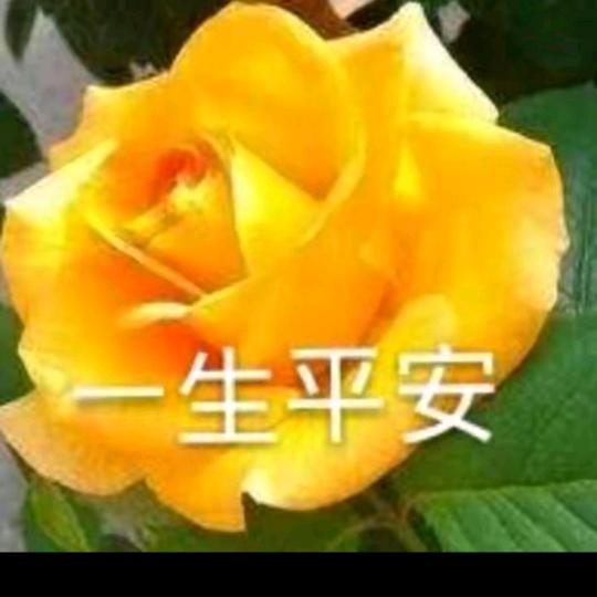 一生平安健康快乐