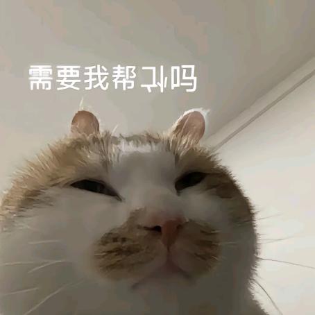 老农咪