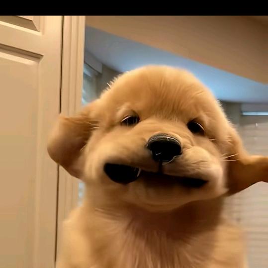简单！！