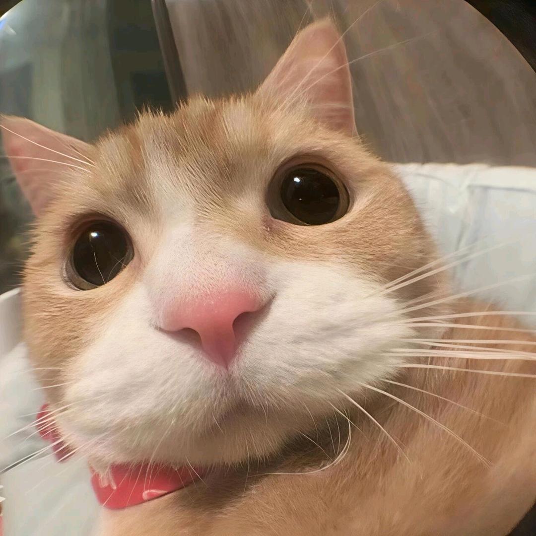 渡'头像