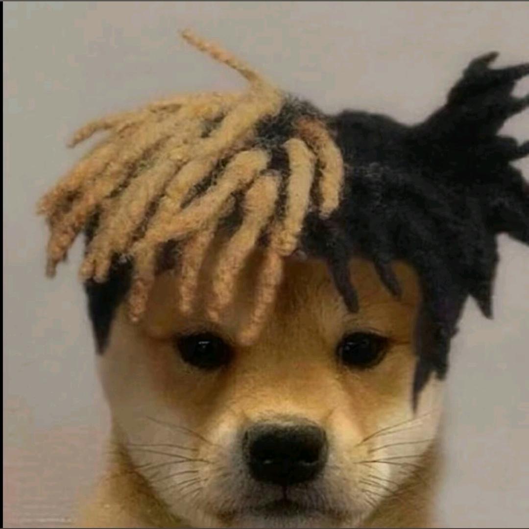 Kk