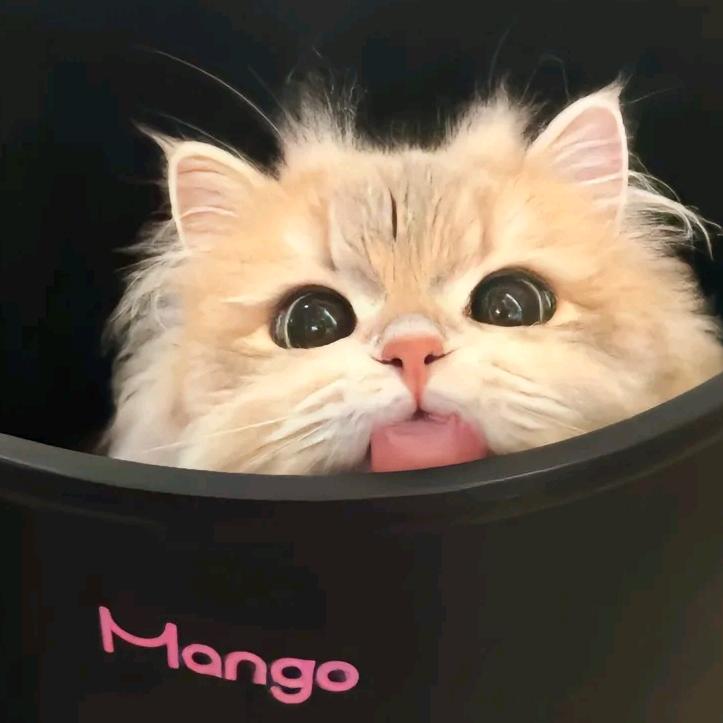 六月🐟