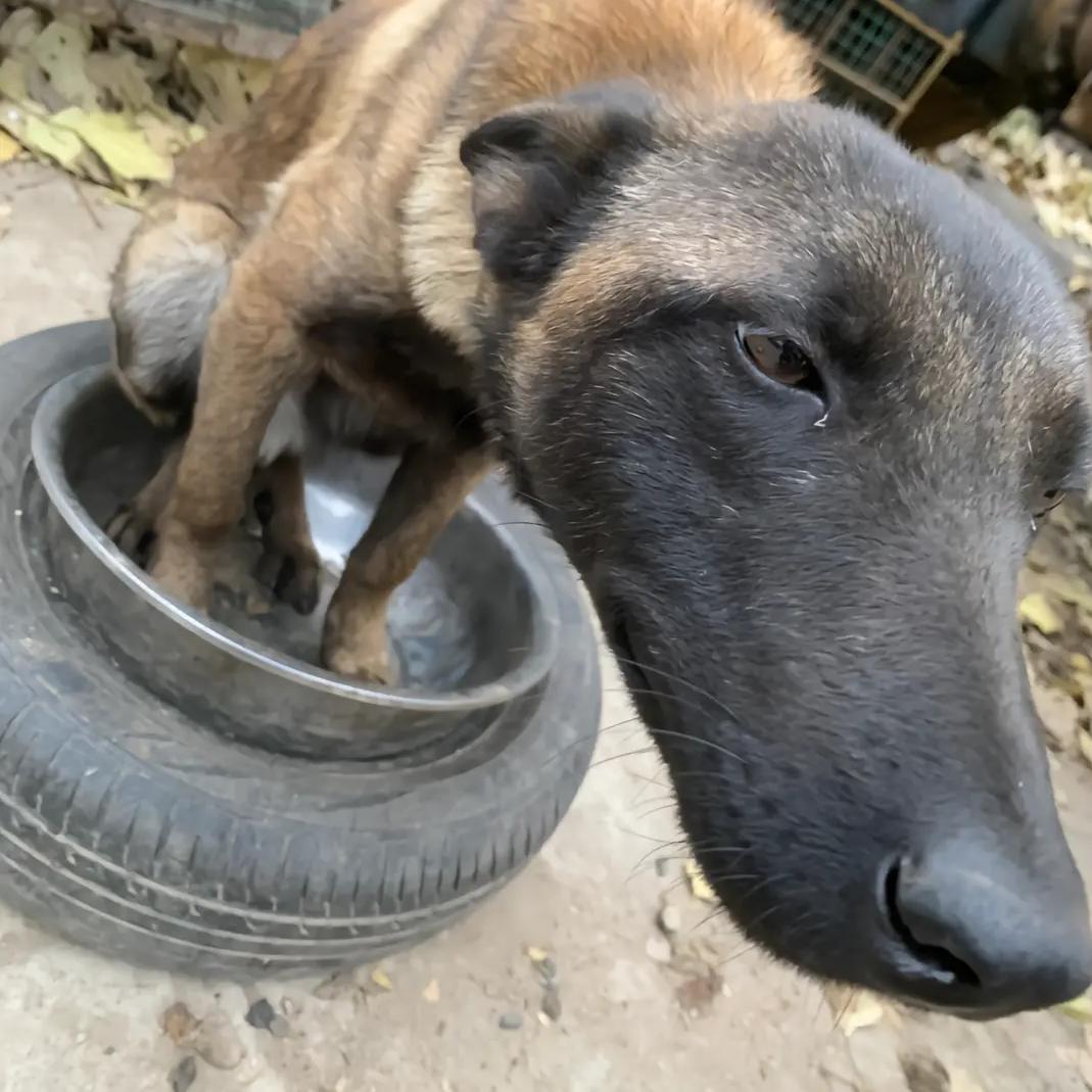 Nasa（守望先锋）