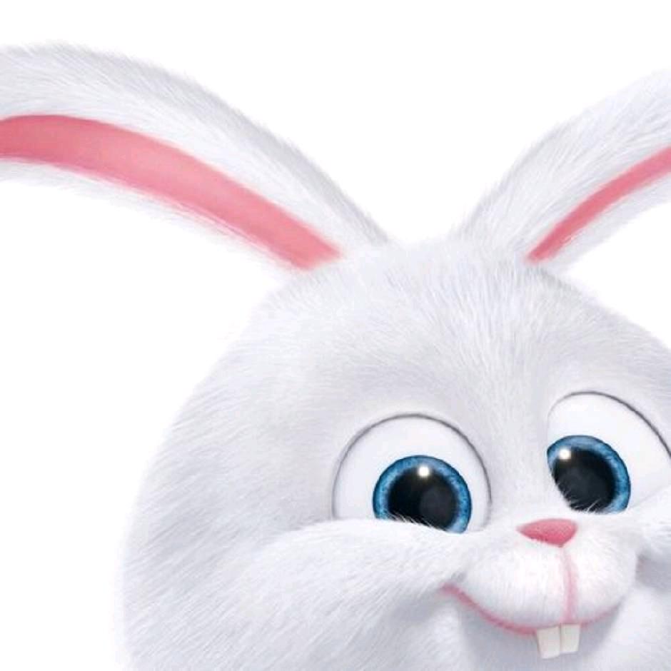 📷阿尔伯特军（被封印版）