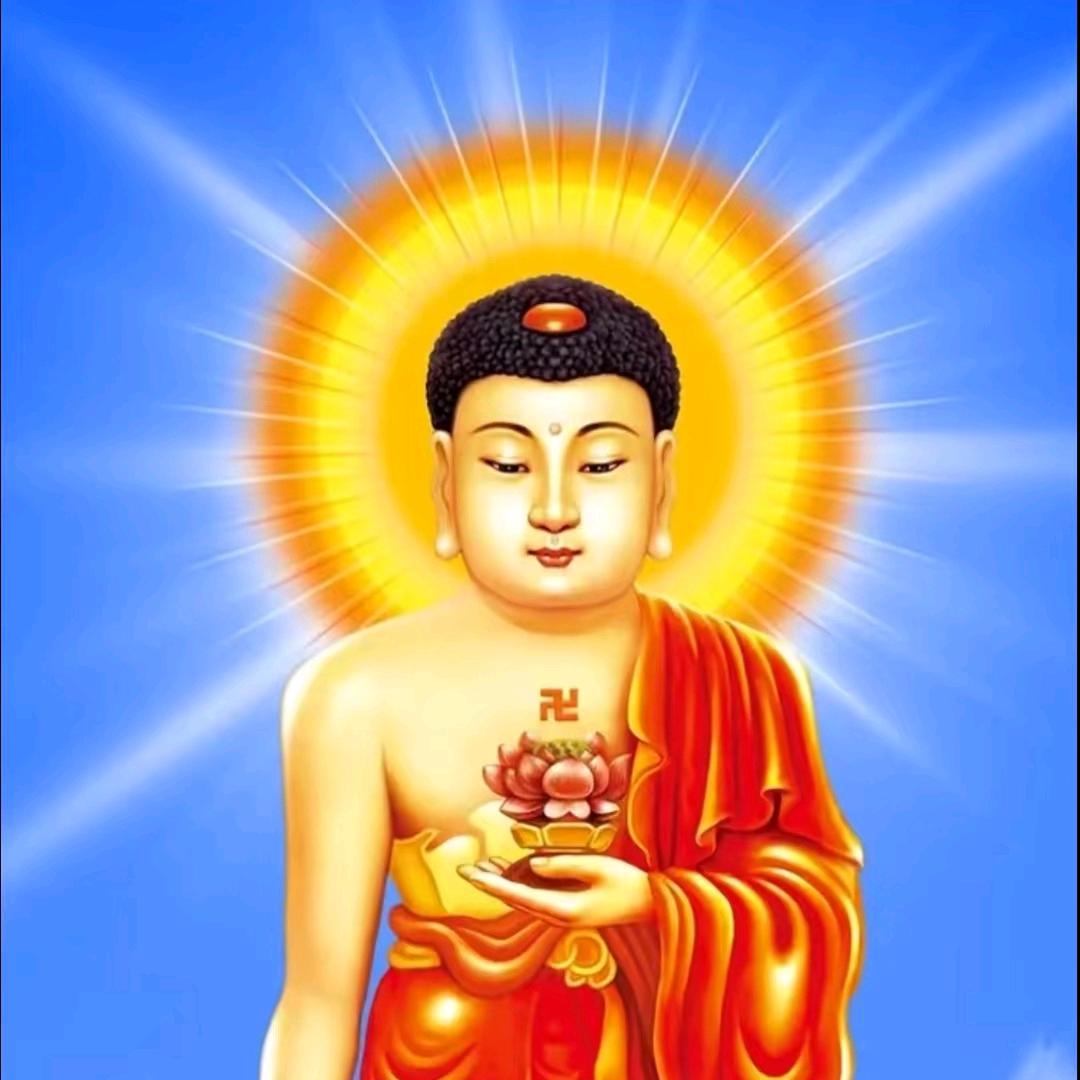 善逝～生命关怀