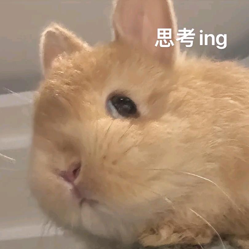 鬼黑宝也是宝