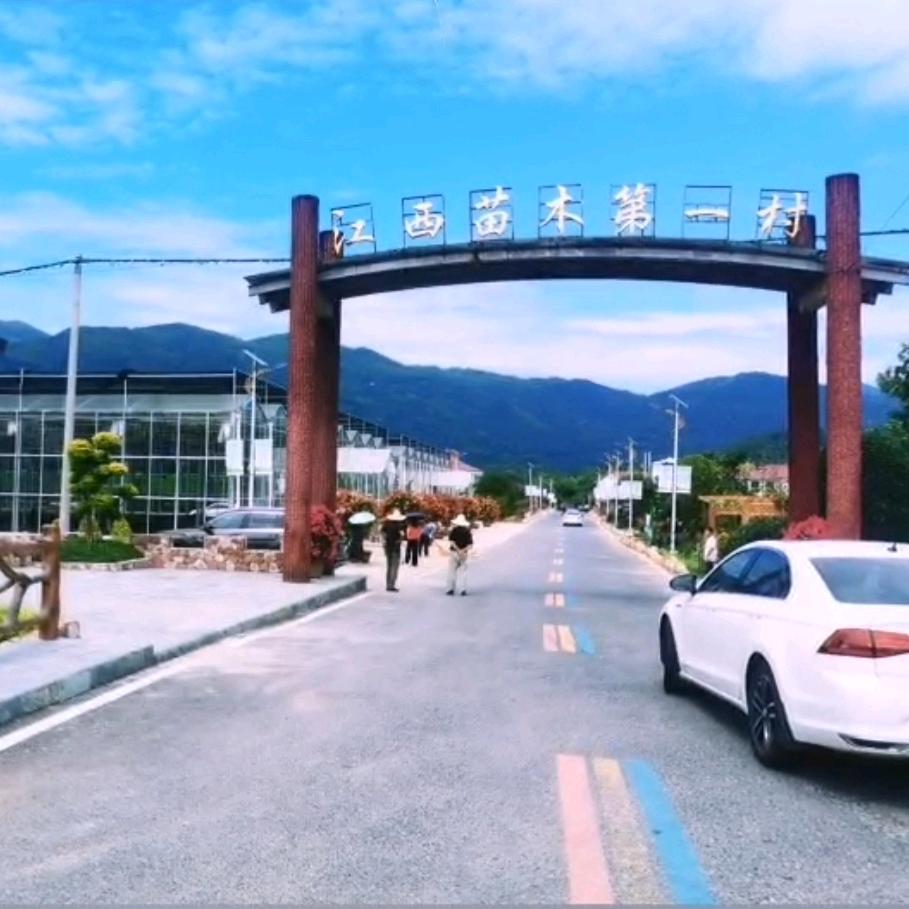 宋先生（苗木人）