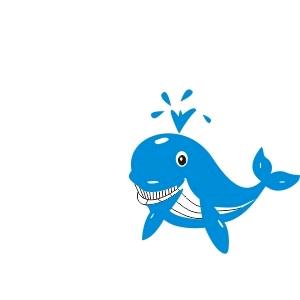 龙南市鲸喜酷玩官方号