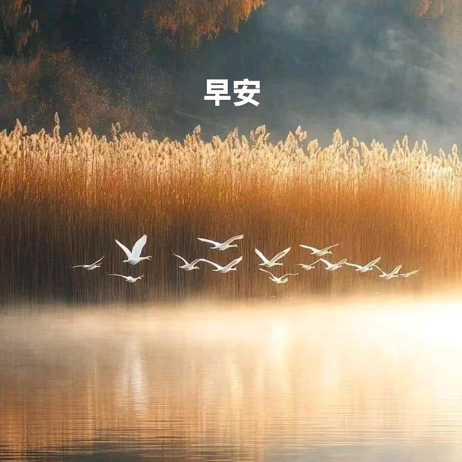 中山市乐享家智能电器有限公司企业店