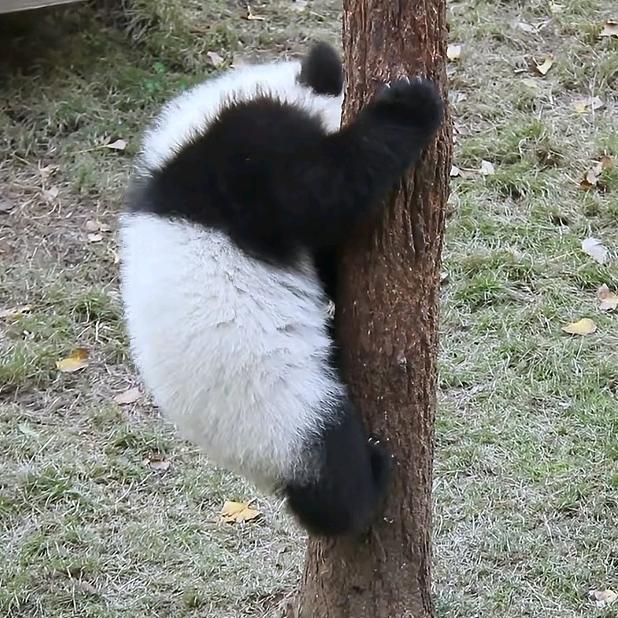 笑哥五分钟讲会计