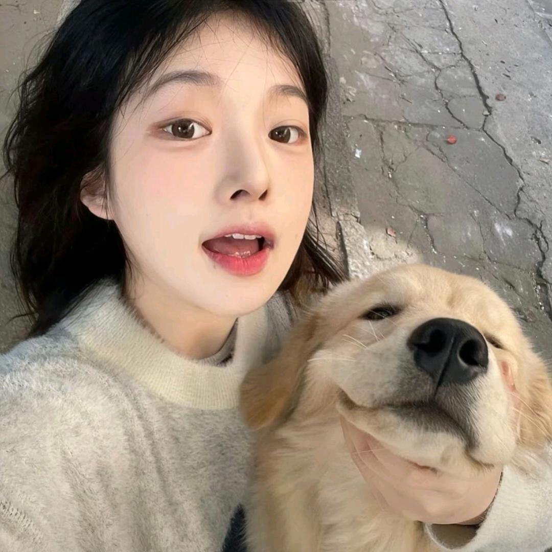 美羊羊加油！