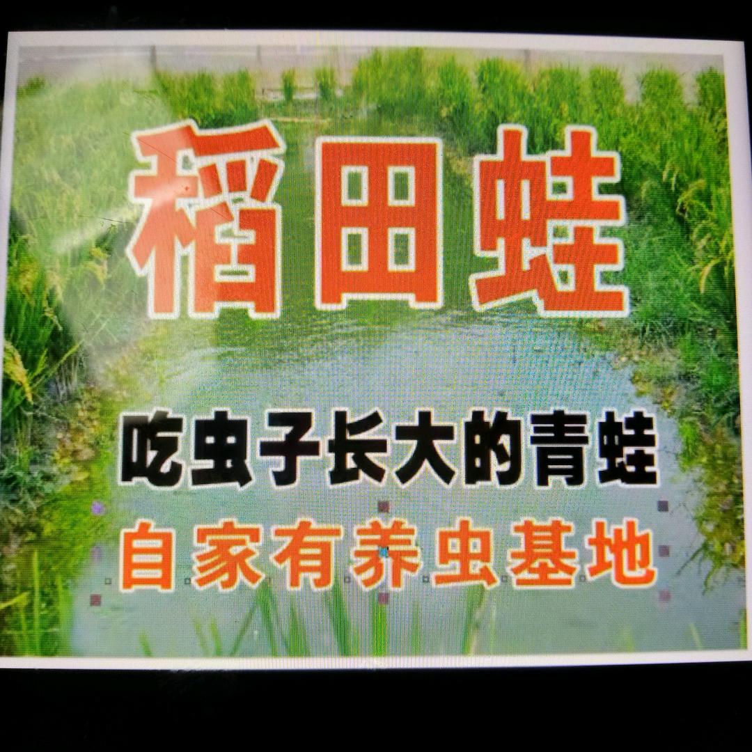 龙俏的种养农场特色小铺