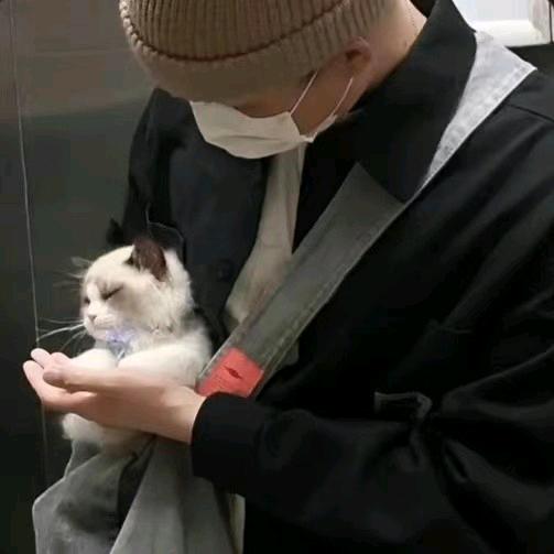 肖云狄