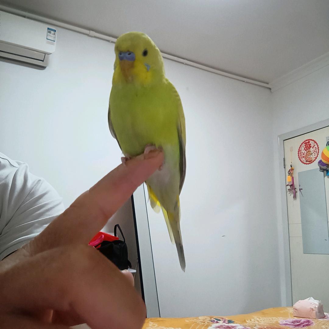 空海一城