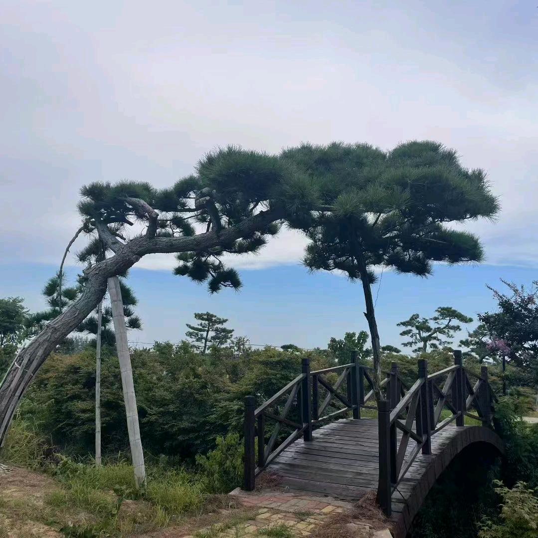 锦缘园林