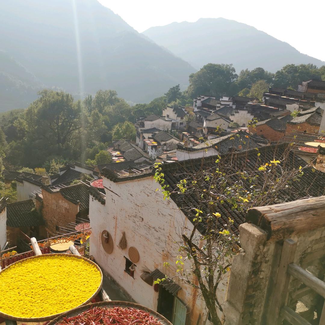 可乐0613
