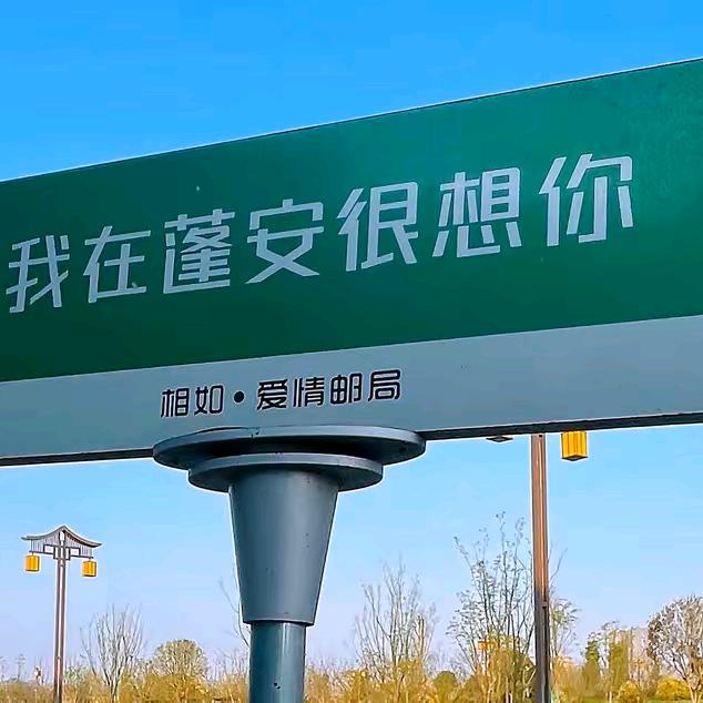 你是我唯一