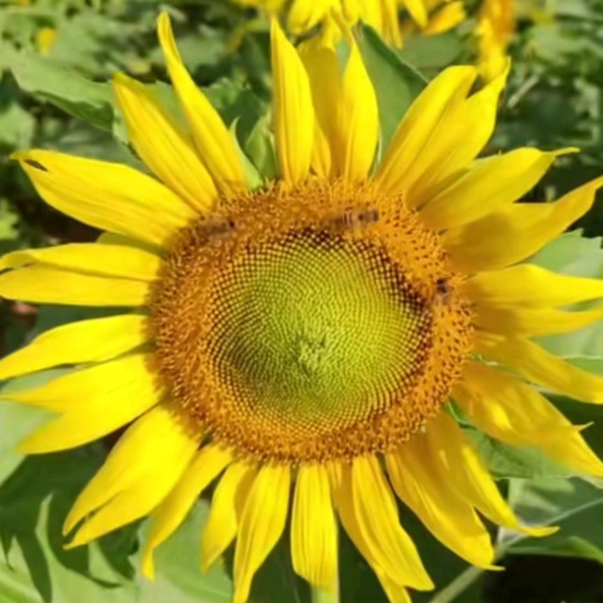 顺风顺水顺财神