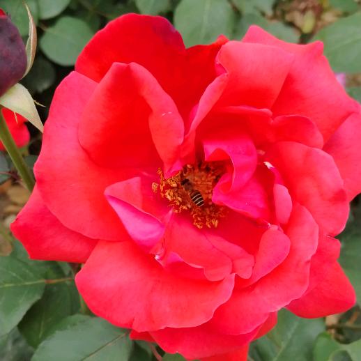 农民工🧑‍🌾…