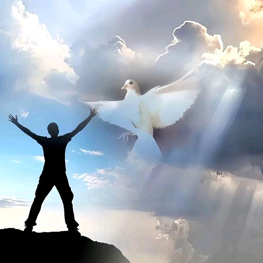 被导航的十字路口