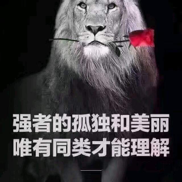 江湖宝哥