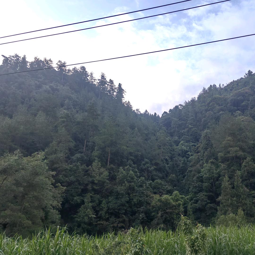往后余生