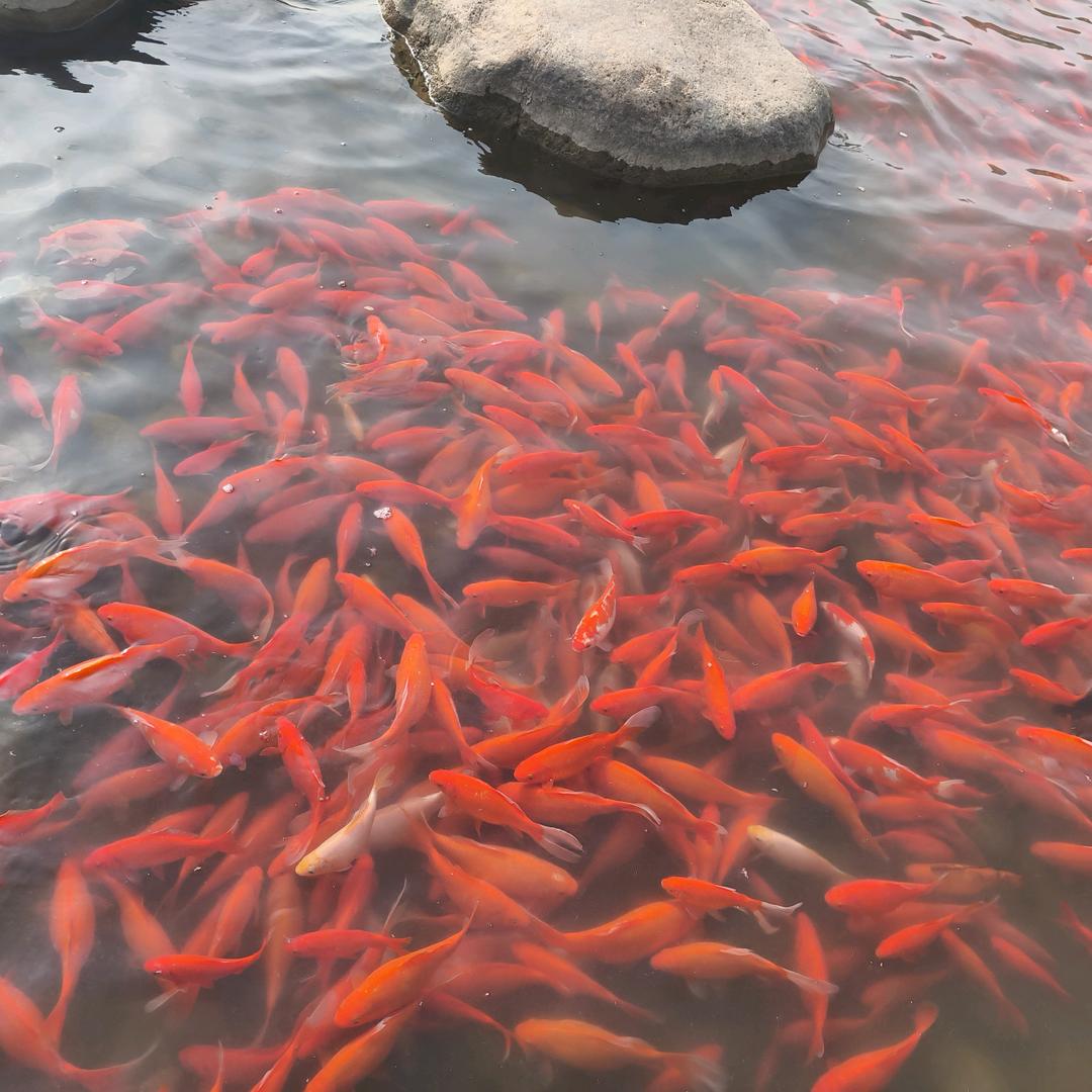 天空 （首播）14点40开播