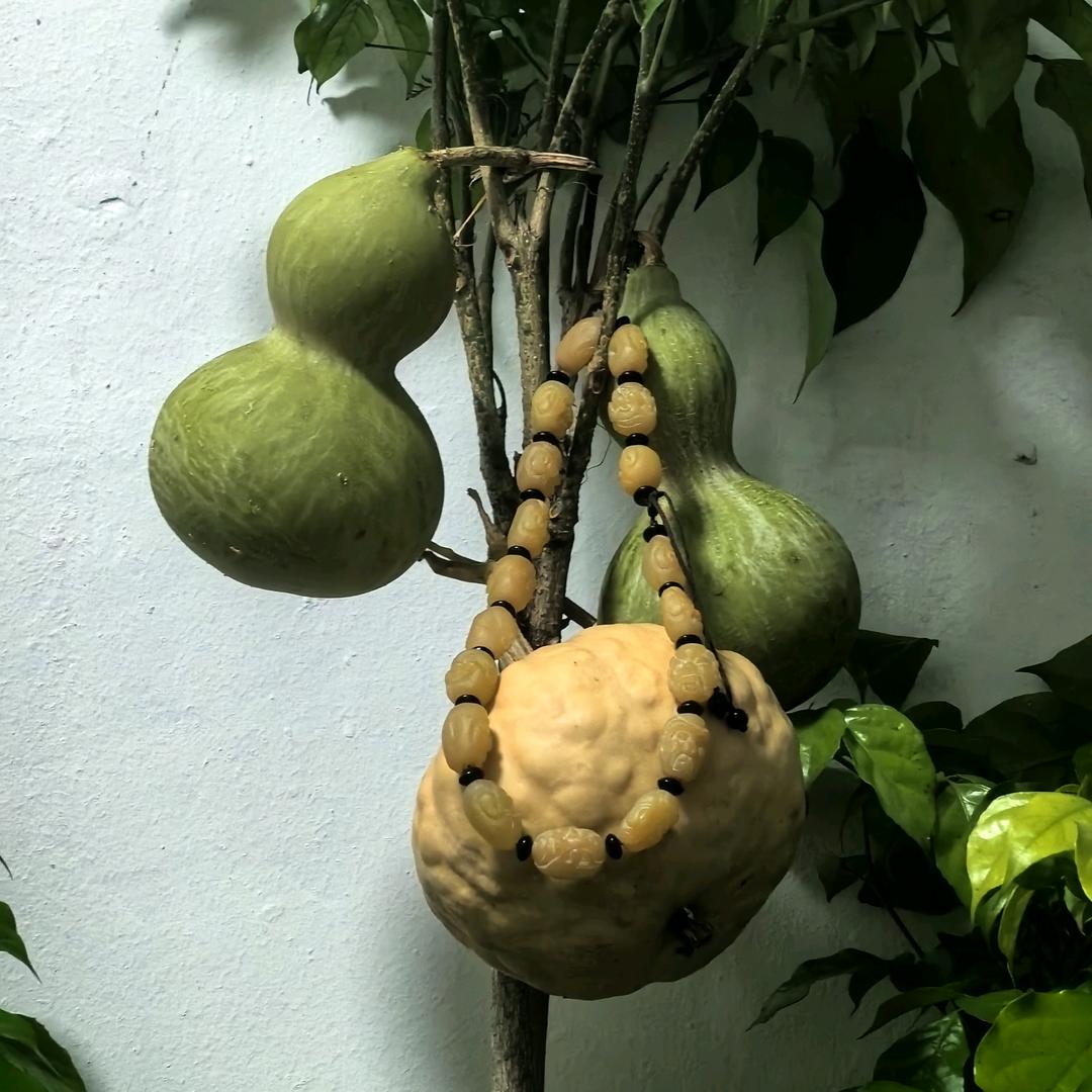 油库小院