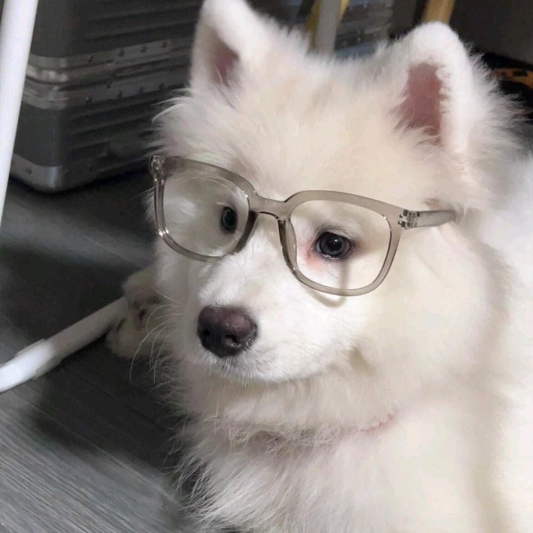 古的白